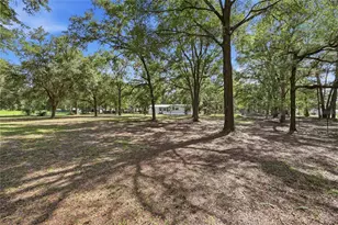2876 SE County Rd 245, Lake City, FL 32025 - Photo 7