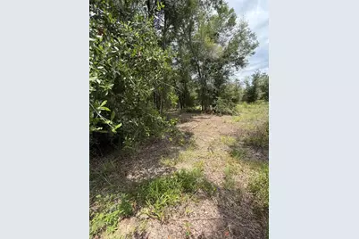 4951 NE 142nd Court, Williston, FL 32696 - Photo 3