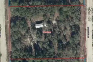 4951 NE 142nd Ct, Williston, FL 32696 - Photo 1