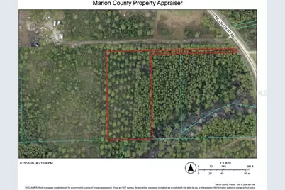 Ne NE 130 Ct Rd, Fort Mc Coy, FL 32134 - Photo 1