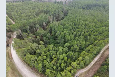 Ne NE 130 Ct Rd, Fort Mc Coy, FL 32134 - Photo 5