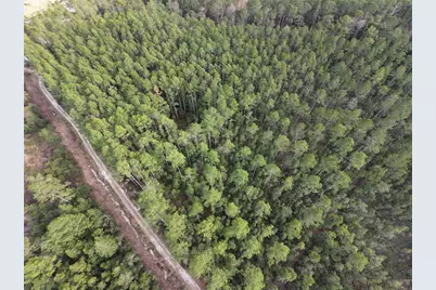 Ne NE 130 Ct Rd, Fort Mc Coy, FL 32134 - Photo 3
