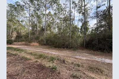 Ne NE 130 Ct Rd, Fort Mc Coy, FL 32134 - Photo 7