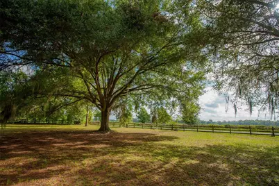25518 NW County Road 241, Alachua, FL 32615 - Photo 7