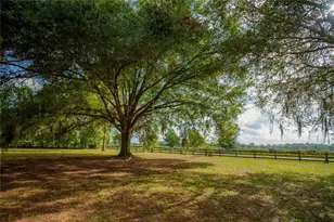 25518 NW County Road 241, Alachua, FL 32615 - Photo 7