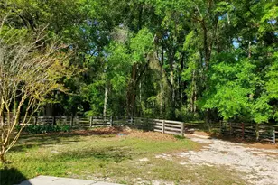 22819 NW 209th Terrace, High Springs, FL 32643 - Photo 21