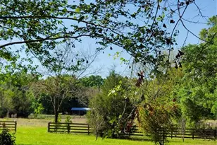 22819 NW 209th Terrace, High Springs, FL 32643 - Photo 23
