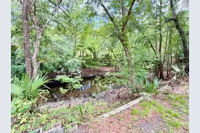 9749 Florida Street, Fanning Springs, FL 32693 - Photo 7