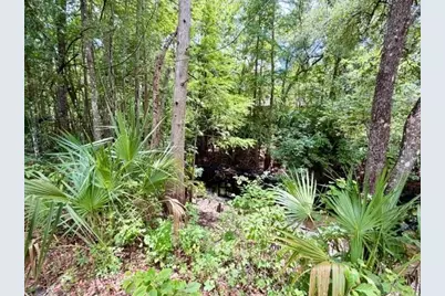 9749 Florida Street, Fanning Springs, FL 32693 - Photo 17