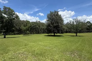 4875 SW County Rd 240, Lake City, FL 32024 - Photo 47
