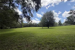 4875 SW County Rd 240, Lake City, FL 32024 - Photo 7
