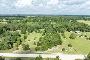 9889 NW 9th Ct, Branford, FL 32008 - Photo 27