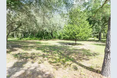 9889 NW 9th Court, Branford, FL 32008 - Photo 41