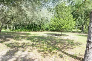 9889 NW 9th Ct, Branford, FL 32008 - Photo 41
