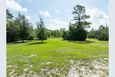 9889 NW 9th Court, Branford, FL 32008 - Photo 45