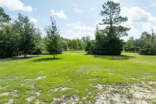 9889 NW 9th Ct, Branford, FL 32008 - Photo 45