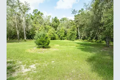 9889 NW 9th Court, Branford, FL 32008 - Photo 35