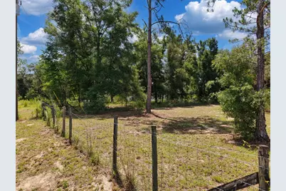 54 NE 841st Avenue, Old Town, FL 32680 - Photo 21