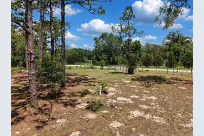 54 NE 841st Avenue, Old Town, FL 32680 - Photo 5