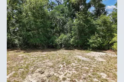 54 NE 841st Avenue, Old Town, FL 32680 - Photo 13