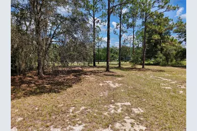 54 NE 841st Avenue, Old Town, FL 32680 - Photo 3