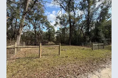 255 SE 917 Street, Cross City, FL 32628 - Photo 3