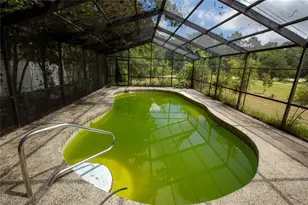 111 2nd St, Melrose, FL 32666 - Photo 43
