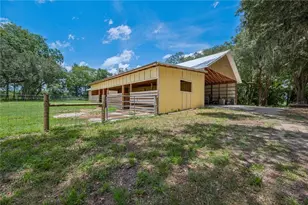 4107 SW State Rd 45, Newberry, FL 32669 - Photo 71