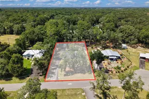 8071 NW 172nd Ln, Trenton, FL 32693 - Photo 45