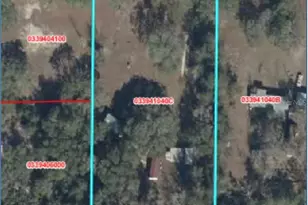 10330 NE 90th St, Bronson, FL 32621 - Photo 31