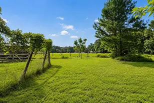 8555 NW 210th St, Micanopy, FL 32667 - Photo 29