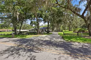 561 SE 28th St, Melrose, FL 32666 - Photo 5