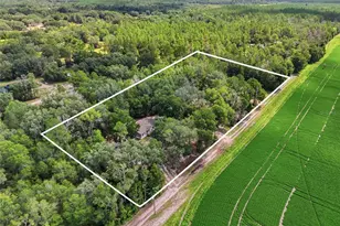 3562 NW 20th Ave, Bell, FL 32619 - Photo 27
