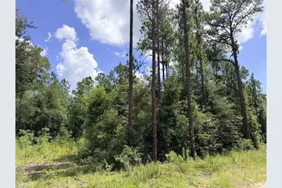 0 NE 77 Place, Bronson, FL 32621 - Photo 7