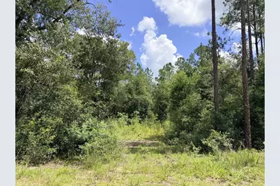 0 NE 77 Place, Bronson, FL 32621 - Photo 1