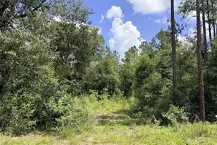 0 NE 77 Pl, Bronson, FL 32621 - Photo 1