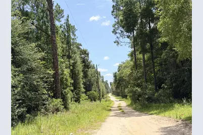 0 NE 77 Place, Bronson, FL 32621 - Photo 3