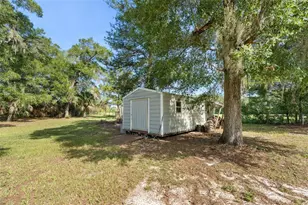 646 NE 2nd St, Williston, FL 32696 - Photo 33