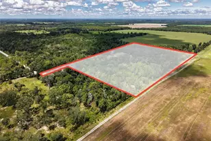 4141 NW 32nd Pl, Chiefland, FL 32626 - Photo 65