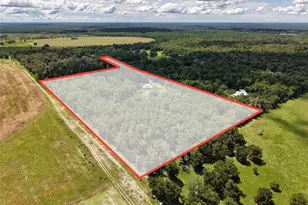 4141 NW 32nd Pl, Chiefland, FL 32626 - Photo 57