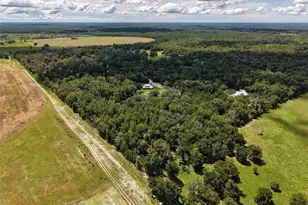 4141 NW 32nd Pl, Chiefland, FL 32626 - Photo 53