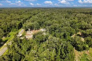 311 NE 316th Ave, Old Town, FL 32680 - Photo 25