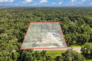 311 NE 316th Ave, Old Town, FL 32680 - Photo 3
