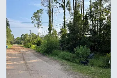 14004 Bradham Road, Jacksonville, FL 32226 - Photo 3