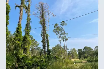 14004 Bradham Road, Jacksonville, FL 32226 - Photo 7