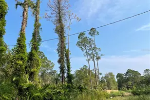 14004 Bradham Rd, Jacksonville, FL 32226 - Photo 7
