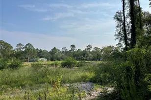 14004 Bradham Rd, Jacksonville, FL 32226 - Photo 9