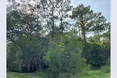 14004 Bradham Road, Jacksonville, FL 32226 - Photo 17