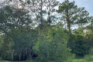 14004 Bradham Rd, Jacksonville, FL 32226 - Photo 17
