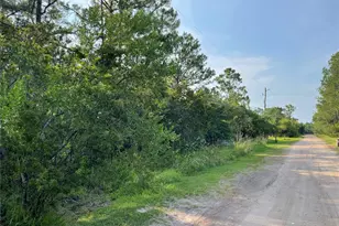 14004 Bradham Rd, Jacksonville, FL 32226 - Photo 11